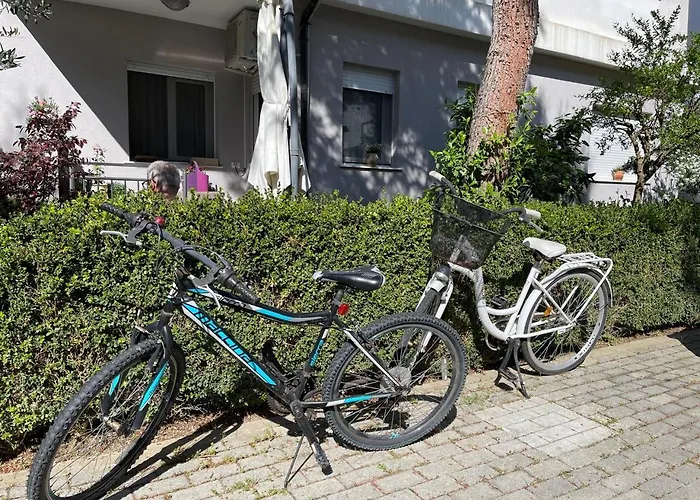 Colors By The Sea At Lalzi Bay