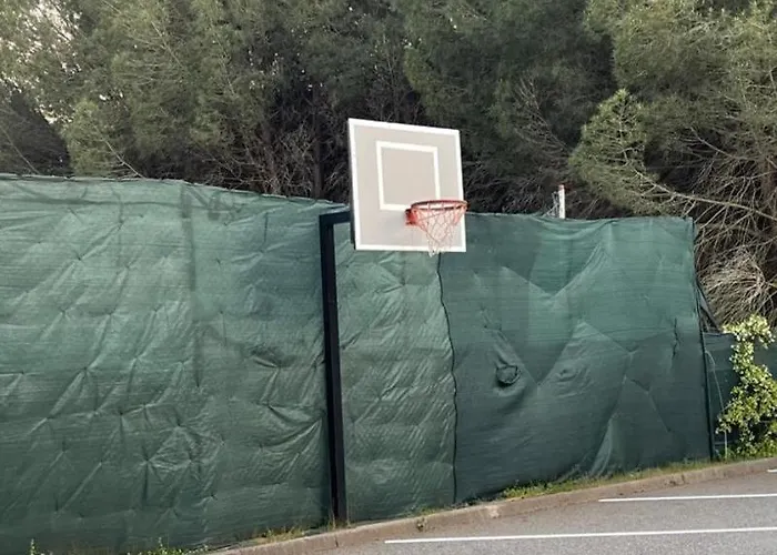 Colors By The Sea At Lalzi Bay