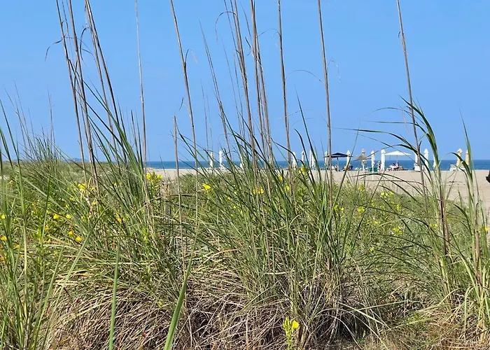 Colors By The Sea At Lalzi Bay 公寓 Durrës