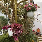Colors By The Sea At Lalzi Bay Appartement *